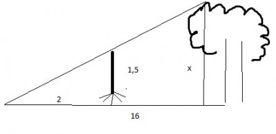 arvore.jpg (13.1 KiB) Exibido 2699 vezes arvore.jpg