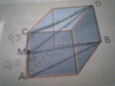 031408202633-00.jpg