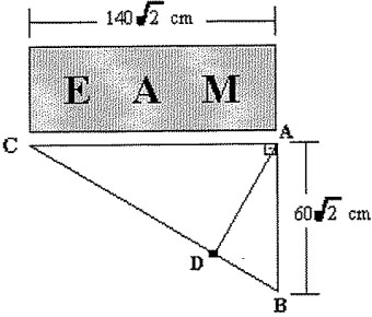 EAM-imagem.jpg