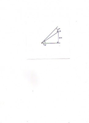 img155.jpg