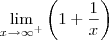 \lim_{x \to \infty^+} \left(1+\frac{1}{x} \right) \lim_{x \to \infty^+} \left(1+\frac{1}{x} \right)