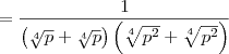 =  \frac{1}{\left(\sqrt[4]{p}+\sqrt[4]{p}\right)\left(\sqrt[4]{p^2}+\sqrt[4]{p^2}\right)}