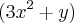 (3x^2+y) (3x^2+y)