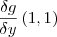 \frac{\delta g}{\delta y} \left(1,1 \right)