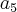 {a}_{5} {a}_{5}