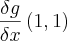\frac{\delta g}{\delta x} \left(1,1 \right)