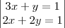 \begin{vmatrix}
3x+y=1 \\
2x+2y=1
\end{vmatrix} \begin{vmatrix}
3x+y=1 \\
2x+2y=1
\end{vmatrix}