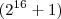 ({2}^{16}+1)