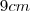 9cm 9cm