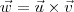 \vec{w} = \vec{u}\times\vec{v} \vec{w} = \vec{u}\times\vec{v}