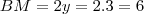 BM=2y=2.3=6