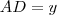 AD = y