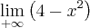 \lim_{+\infty} \left(4-x^2 \right)