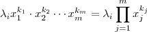 \lambda_i x_1^{k_1} \cdot x_2^{k_2} \cdots x_m^{k_m} = \lambda_i \prod_{j=1}^m x_j^{k_j} \lambda_i x_1^{k_1} \cdot x_2^{k_2} \cdots x_m^{k_m} = \lambda_i \prod_{j=1}^m x_j^{k_j}