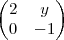 \begin{pmatrix}
2 & y \\
0 & -1
\end{pmatrix} \begin{pmatrix}
2 & y \\
0 & -1
\end{pmatrix}