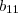 b_{11} b_{11}