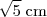 \sqrt{5} \; \text{cm}