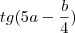 tg(5a - \frac{b}{4})